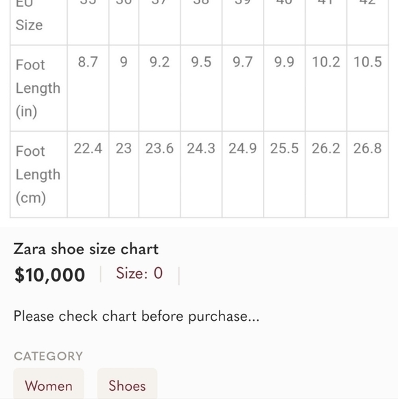 Zara Basic Collection Black Rose Loafers - Picture 9 of 9